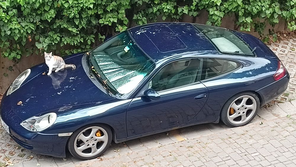 A cat we called Limpy is sitting on the bonnet of a parked blue Porsche 911 Carrera. Behind the car is some green foliage. The photo was taken from our balcony looking down towards the car, and the cat.