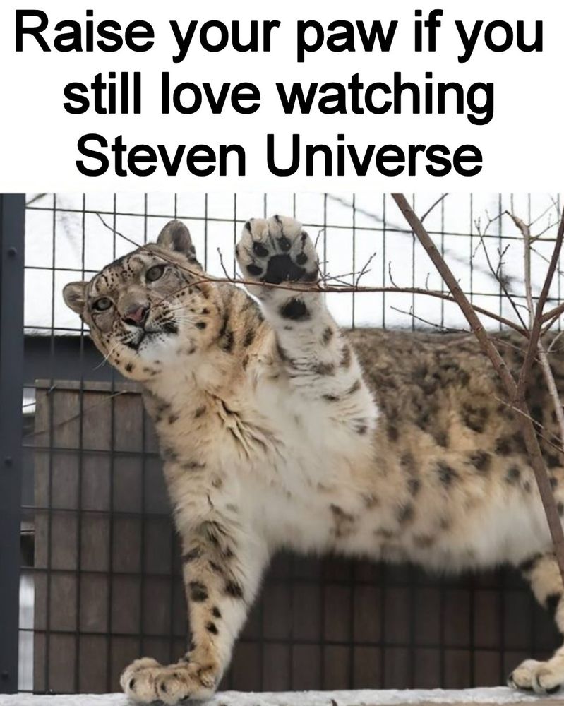 an image with a caption saying "raise your paw if you still love watching Steven Universe" followed by an image of a snow leopard raising its paw