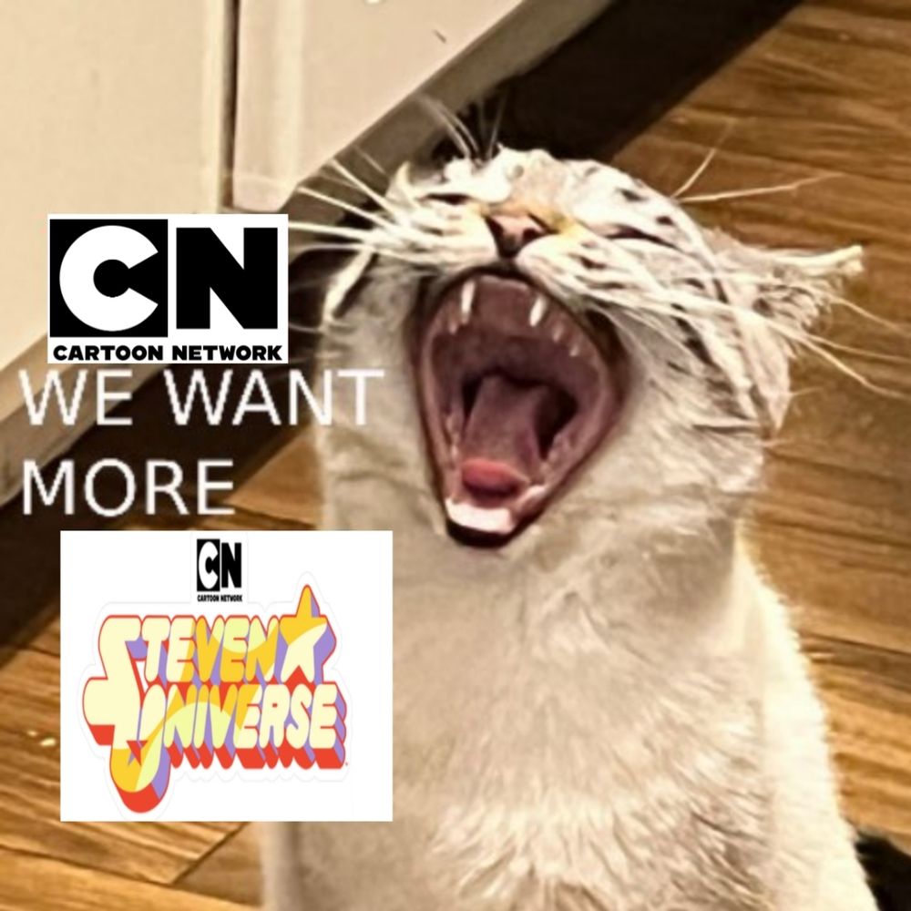 Image of a cat screaming "[Cartoon Network] WE WANT MORE [Steven Universe]