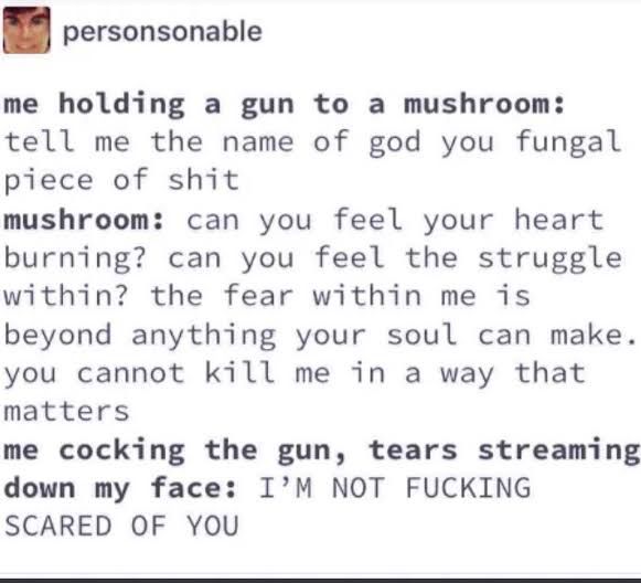 Print de post do tumblr do usuário personsonable

me holding a gun to a mushroom: tell me the name of god you fungal piece of shit
mushroom: can you feel your heart burning? can you feel the struggle within? the fear within me is beyond anything your soul can make. you cannot kill me in a way that matters
me cocking the gun, tears streaming down my face: I'M NOT FUCKING SCARED OF YOU
