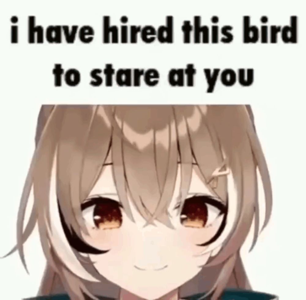 i have hired this bird to stare at you