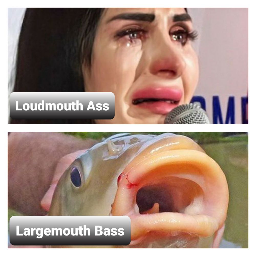 Comment image