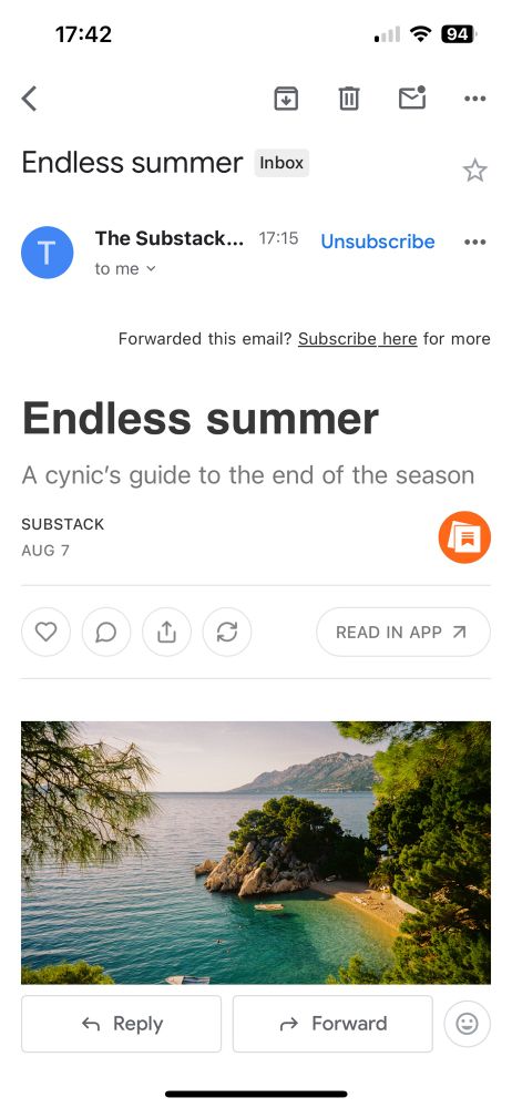 A screenshot of a Substack email titled “endless summer” with a picture of a tropical bay below it
