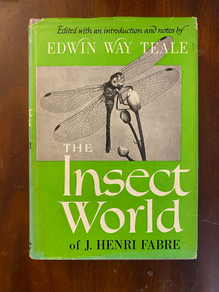 Big Dragonfly perched on a bud of an aquatic plant, waiting for something tasty to fly near, on the cover of
The Insect World of Jean Henri Fabre (selections from Fabre's writings on insects), edited by Edwin Way Teale