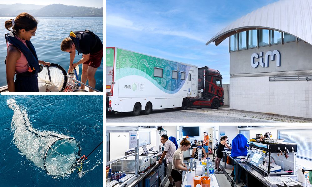 Collage showing EMBL and CIM’s collaborative marine research in action. Top left: two researchers on a boat deploying a water sampling net into the sea. Center left: close-up of the net capturing water. Center right: the EMBL mobile laboratory truck parked outside the CIM building. Bottom row: interior of a mobile lab with scientists analyzing samples and conducting experiments in a well-equipped workspace.