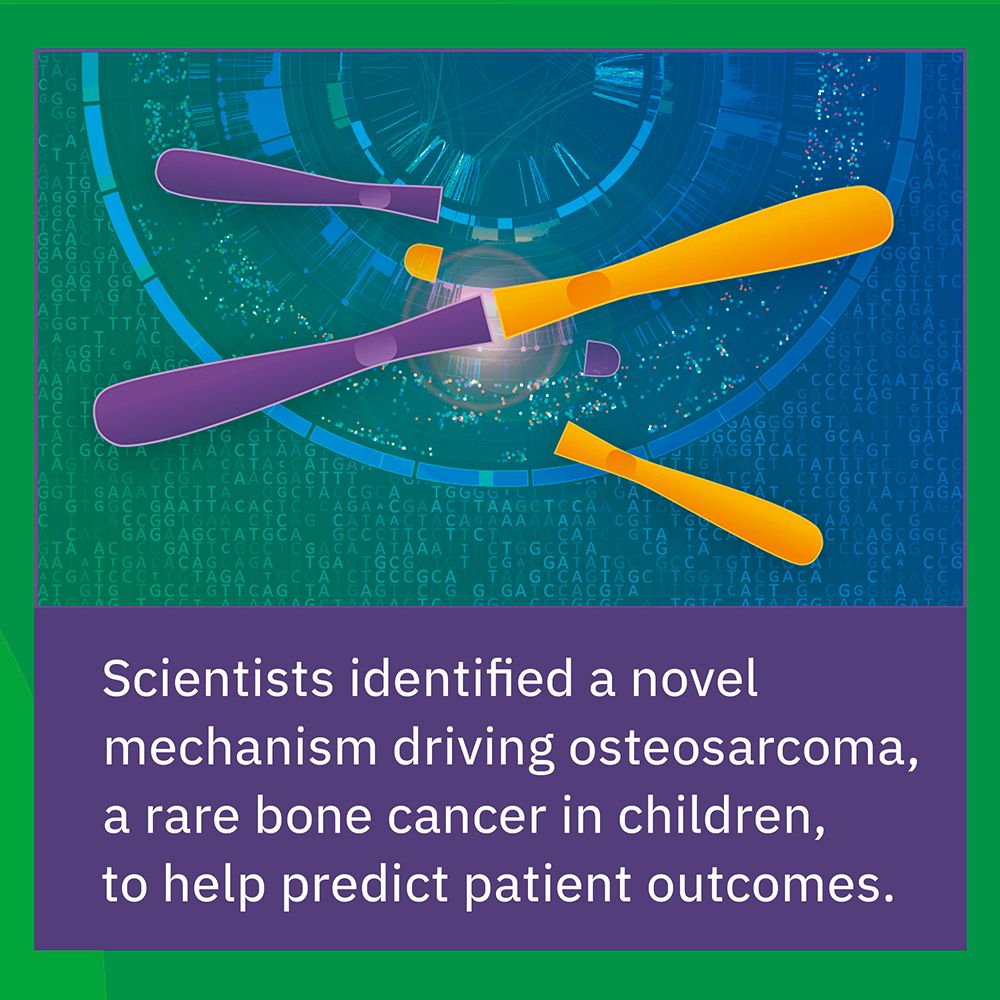 Scientists identified a novel mechanism driving osteosarcoma, a rare bone cancer in children, to help predict patient outcomes.