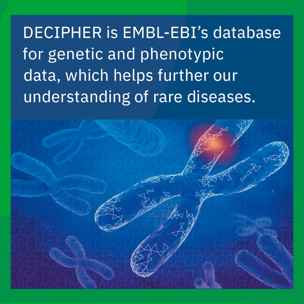 Chromosomes with a red glowing spot to indicate genetic variation.

DECIPHER is EMBL's database for genetic and phenotypic data, which helps further our understanding of rare diseases.
