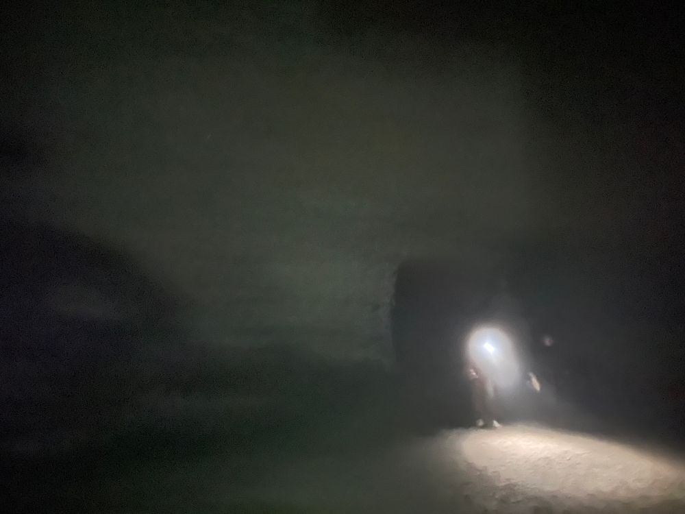 A misty night and castle gate in the dark with people and flashlights 