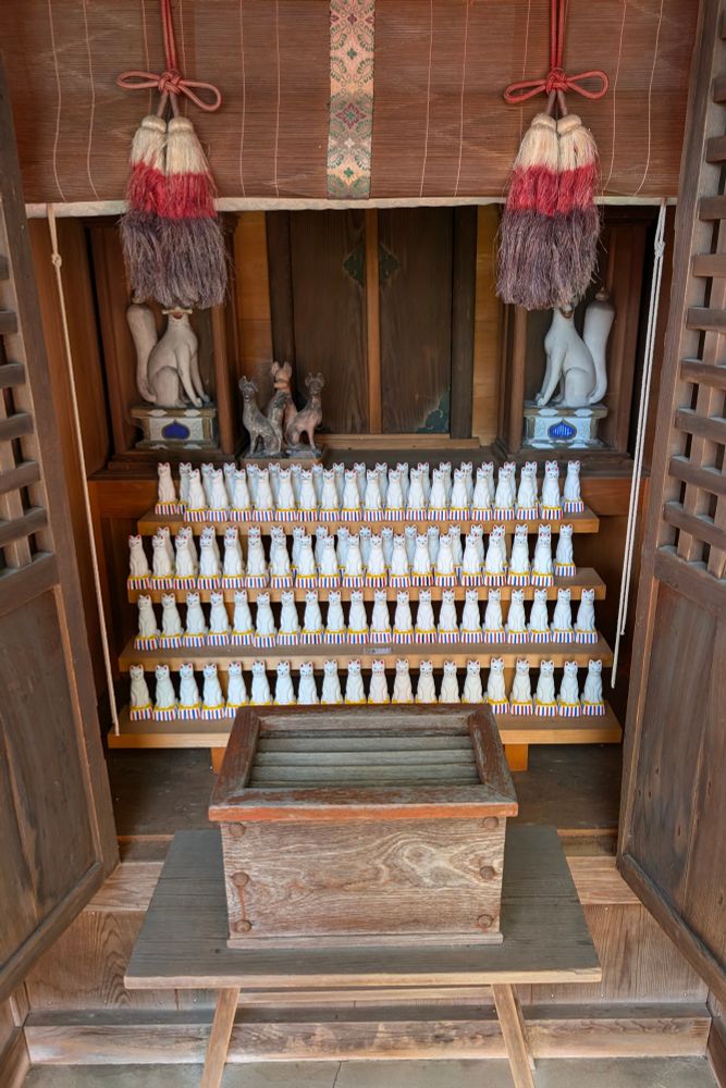 Many white fox figurines are lined up next and on top of each other in a cabinet, which is part of a shrine.