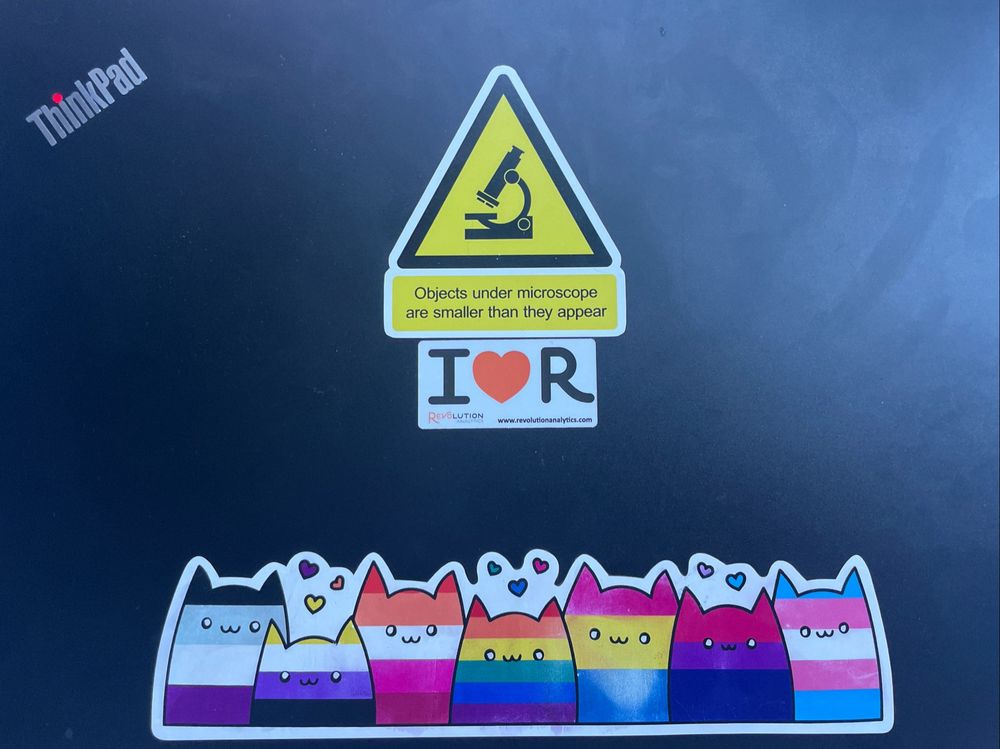 One sticker says: Objects under microscope are smaller than they appear, the second sticker says I heart R, and the third sticker is cats in pride flag colours