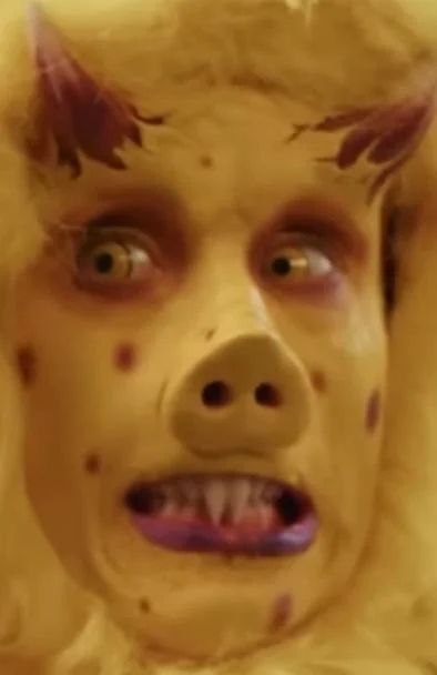 a close up of Spencer’s face (the real one - not the Furby)