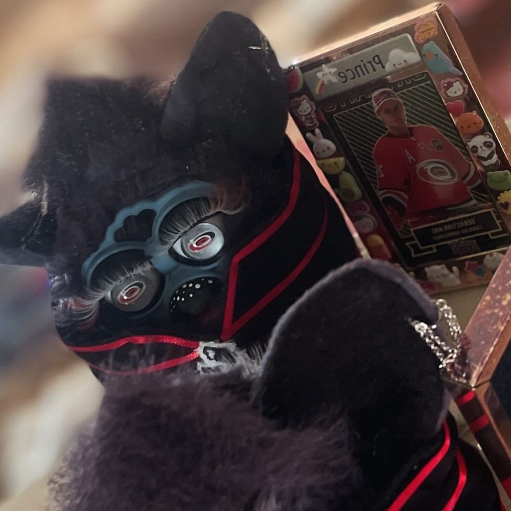 Furbastian Aho gazing into a  mirror beside an Aho trading card inside a picture frame labeled “Prince.” Furbastien has a pierced right ear that is visible in this photo 