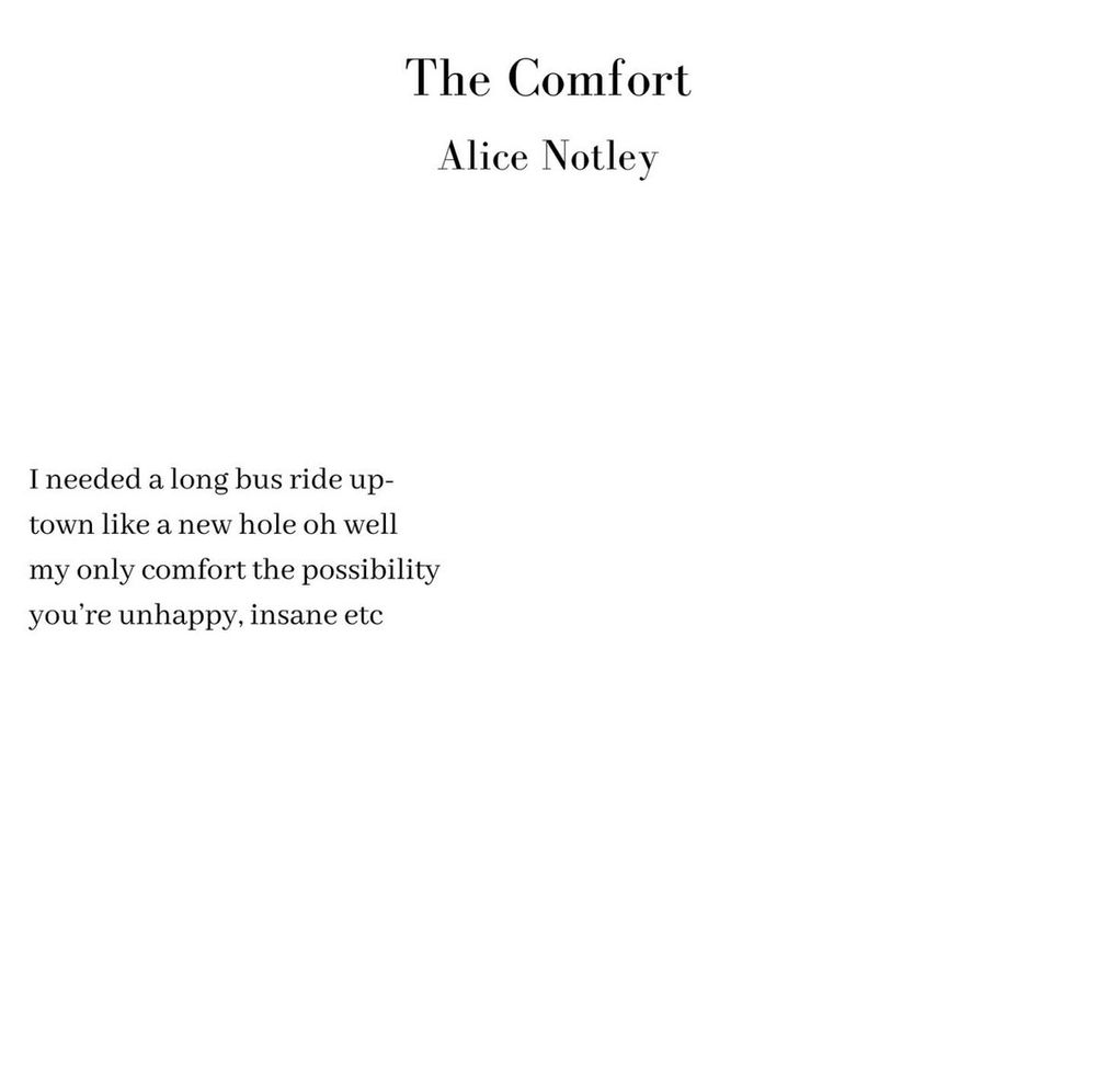 The Comfort 
Alice Notley

I needed a long bus ride up-
town like a new hole oh well
my only comfort the possibility 
you’re unhappy, insane etc 