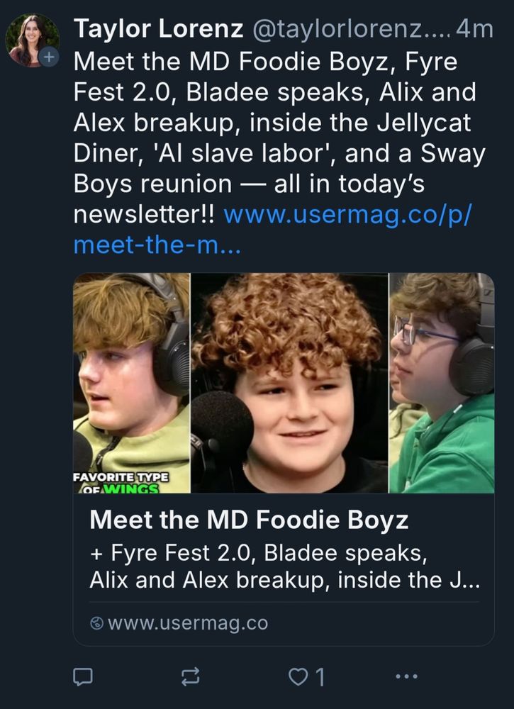 A post by Taylor Lorenz that says:
Meet the MD Foodie Boyz, Fyre Fest 2.0, Bladee speaks, Alix and Alex break up, inside the Jellycat Diner, AI slave labour and a Sway Boys reunion -- all.on today's newsletter!!
Also a link to said newsletter.