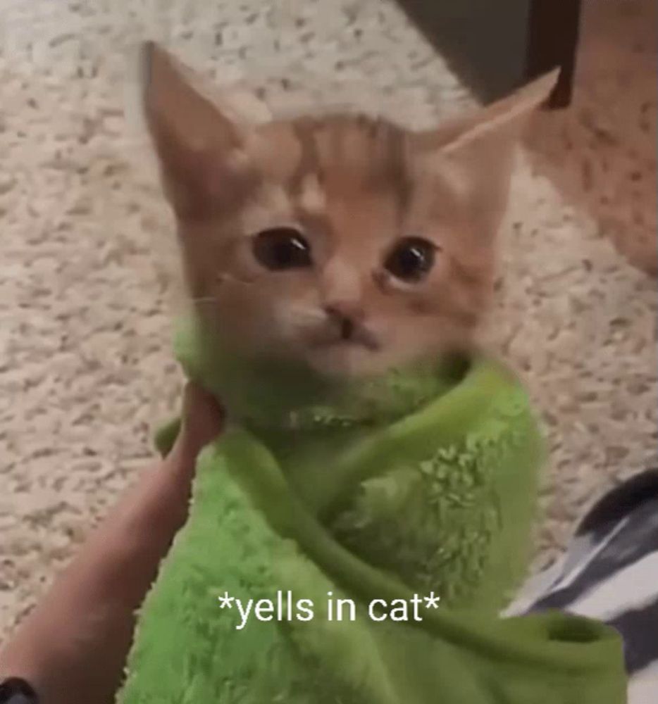 a kitten wrapped in a green towel with the caption * yells in cat * on the bottom