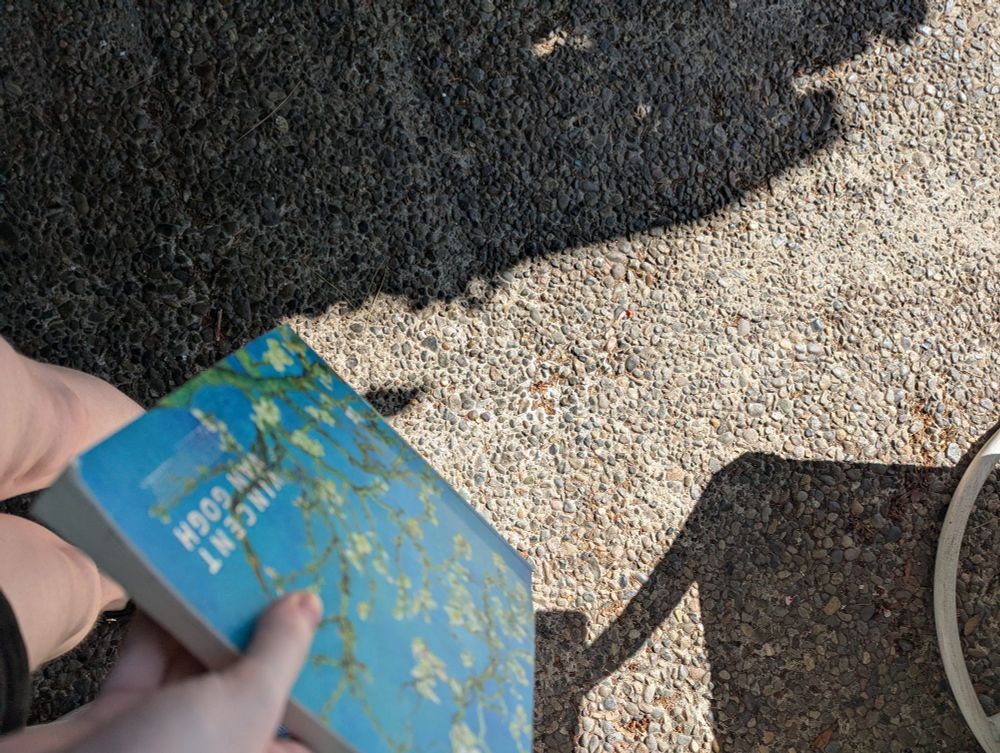 photo of the ground with hugely stark contrast between where the blazing sun hits and the shade. you can see my other hand giving up on using the van Gogh (almond branches) sketchbook, and also can see my bare legs.