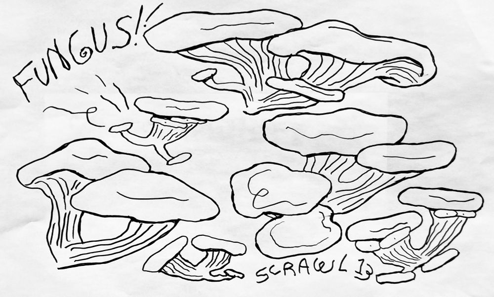 fungus drawing for brushy's scrawlvember non dominant hand drawing challenge