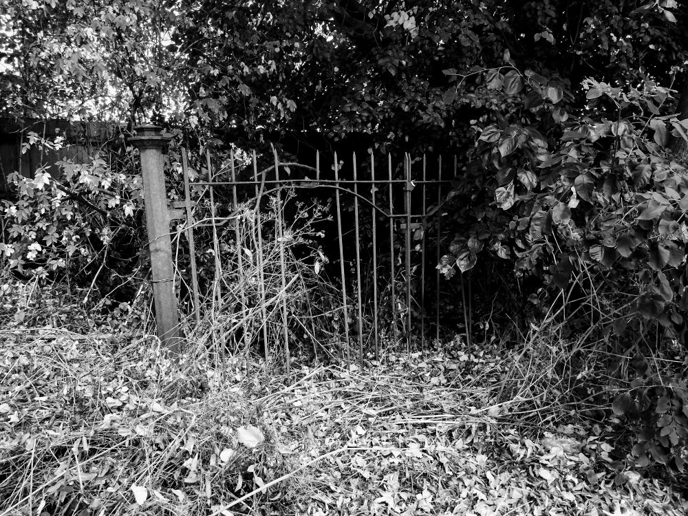Black and white image of a disused iron gate. Several of the upright spars are missing and the posts are not connected to anything else.