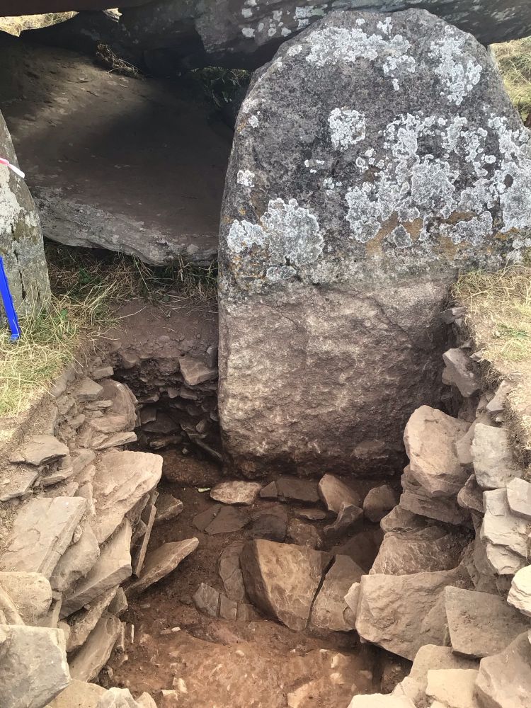 Colour image showing the base of on of the large orthostats guarding the chamber.