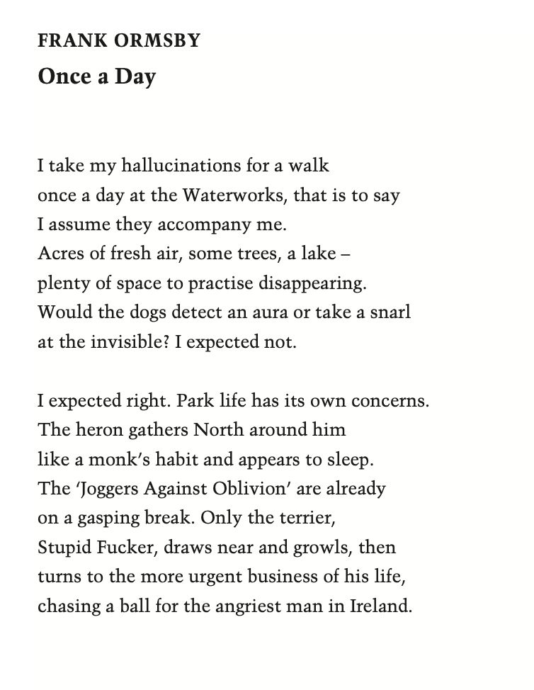 FRANK ORMSBY

Once a Day
I take my hallucinations for a walk
once a day at the Waterworks, that is to say
I assume they accompany me.
Acres of fresh air, some trees, a lake –
plenty of space to practise disappearing.
Would the dogs detect an aura or take a snarl
at the invisible? I expected not.
I expected right. Park life has its own concerns.
The heron gathers North around him
like a monk’s habit and appears to sleep.
The ‘Joggers Against Oblivion’ are already
on a gasping break. Only the terrier,
Stupid Fucker, draws near and growls, then
turns to the more urgent business of his life,
chasing a ball for the angriest man in Ireland.