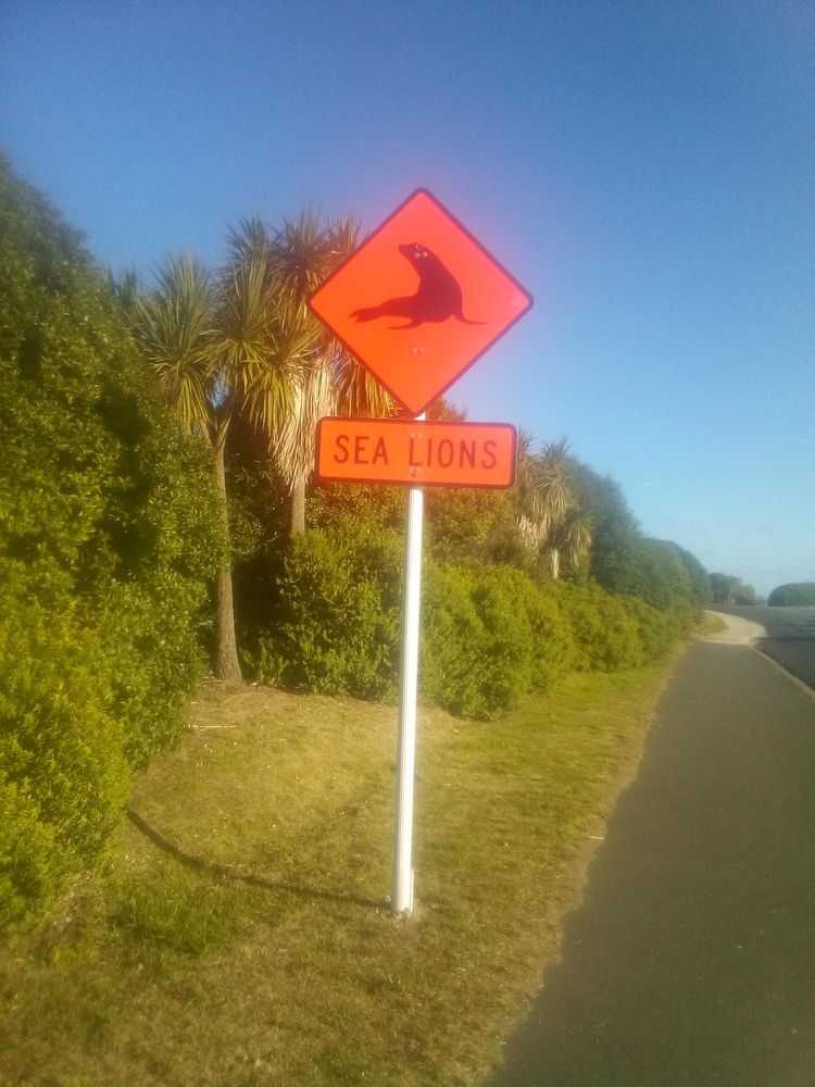 Roadside sign saying Sealions.