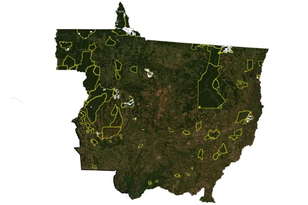 Em Mato Grosso, CAR vira ferramenta para grilagem em terras indígenas