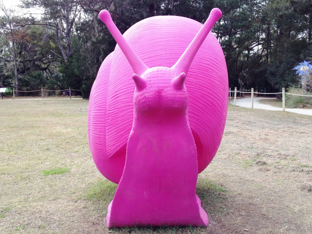 Giant pink snail sculpture, face forward, with long antennae. On museum lawn with short brown grass and a few small green patches. Large trees in background