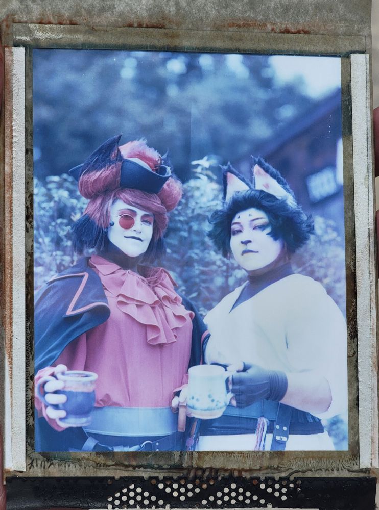 Hazbin Hotel characters? Polaroid Type 59