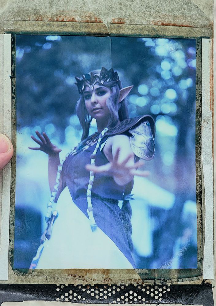 Princess Zelda, Polaroid Type 59