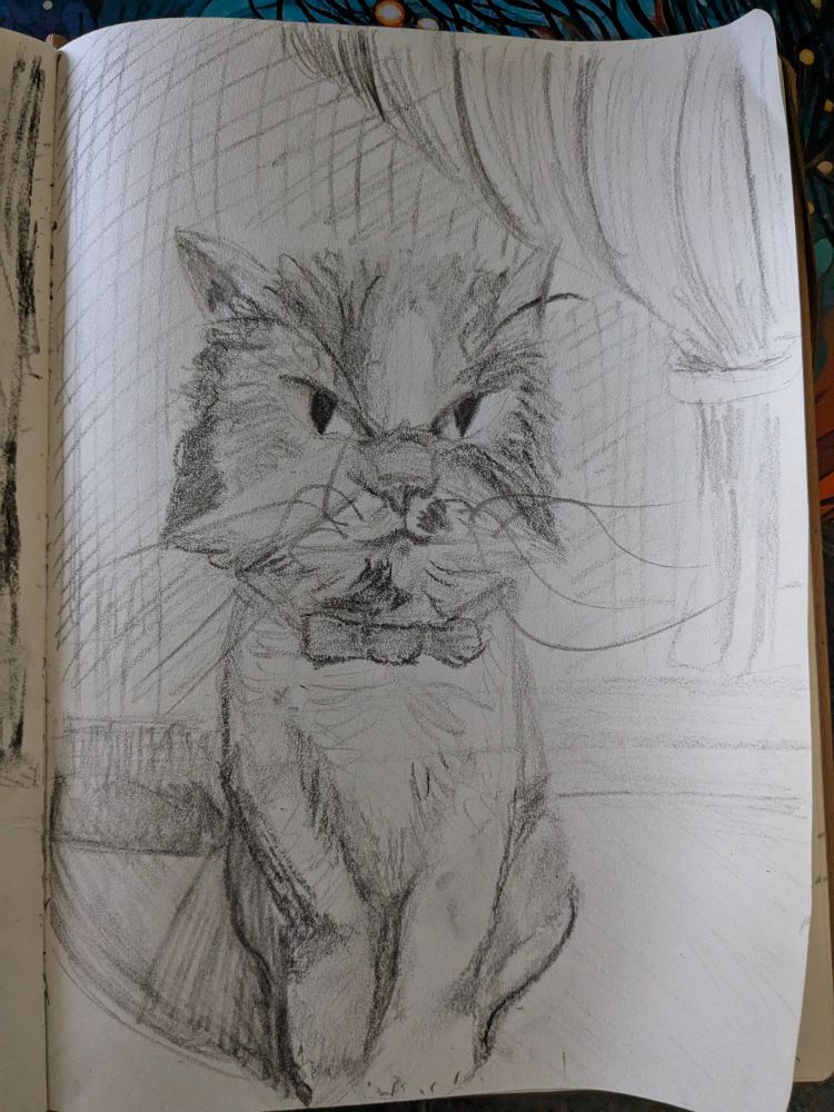 Charcoal sketch of a fluffy persian cat, in front of a window. 