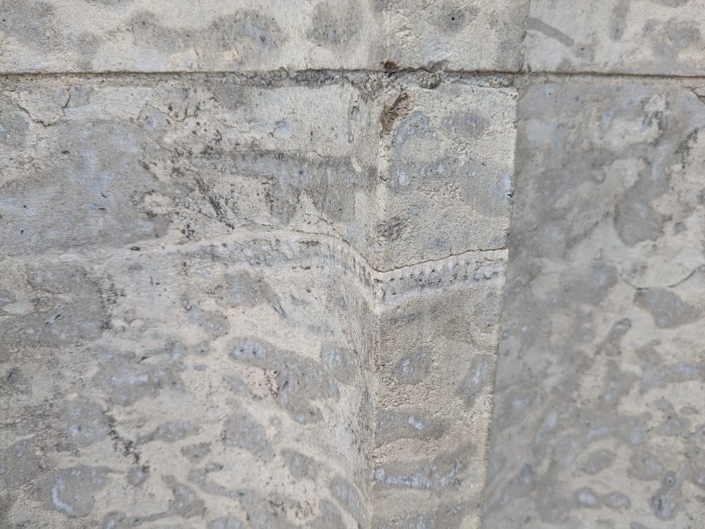There are fossils in the wall.