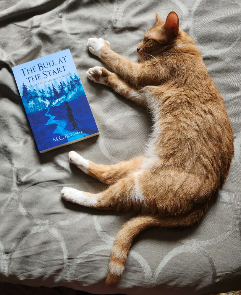 A ginger kitty with a white tummy and feet lying on his side on a sage-green duvet. Near his feet is a 6x9 paperback; its cover shows a shadowy figure looking along a path that leads off into a snowy forest of evergreens. It's called The Bull at the Start by MC Burnell but the kitty is sleeping and doesn't care.
