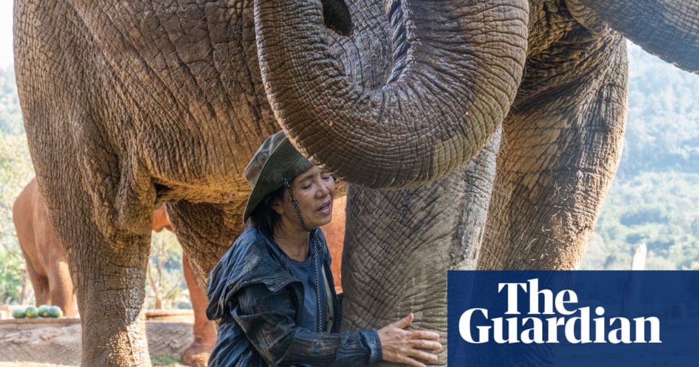 Lek Chailert devoted her life to rescuing abused elephants. Now caring for 120 of them, she fears for their future in Asia