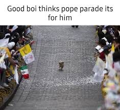 Foto von einem kleinen Hund, der bei einer Parade für den Papst durchlief und wohl dachte alle Menschen, sind wegen ihm da und glücklich die Parade entlang läuft