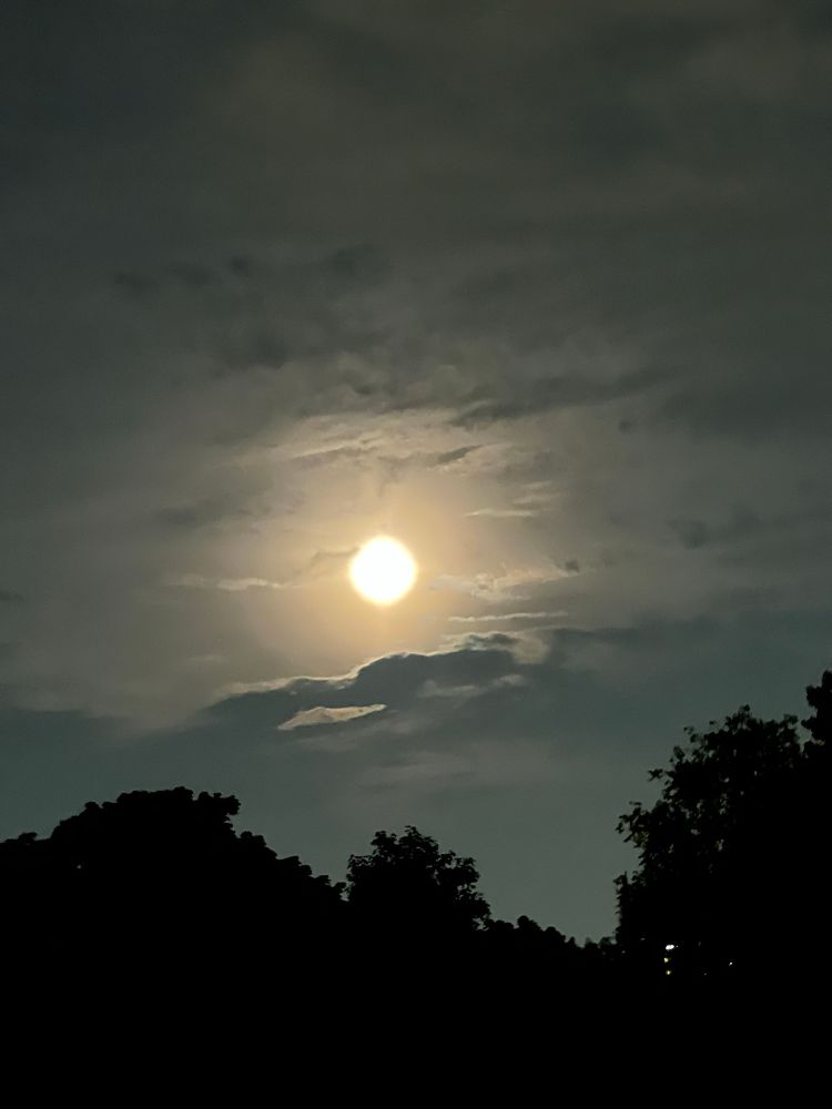 a picture of the moon 