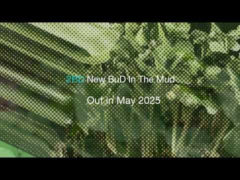 2BD: 1st EP Teaser - New BuD In The Mud will drop on May 2, 2025