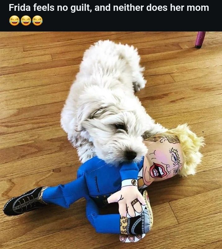 Comment image
