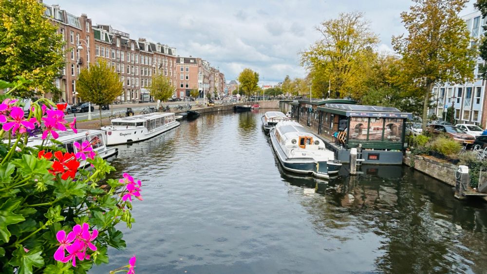 An obligatory Amsterdam canal photo. It’s taken from a bridge looking along a canal. There are barges and boathouses on both sides, and buildings on the streets on either side. On the left in the foreground some flowers are somewhat boneheading the scene but they look quite pretty to be honest. 