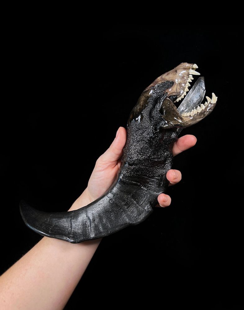 Real raccoon skull, goat horn wand featuring large clear quartz crystal point protruding from the raccoon’s open mouth at the end of the wand. 