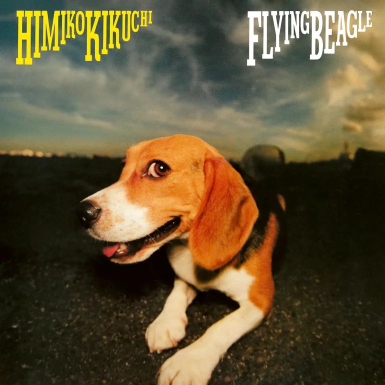 Cover art for Himiko Kikuchi's album "Flying Beagle". It's a photograph of a beagle, as per the album title. It is not, however, flying. Said beagle is captured at an angle, and it's looking at the camera. The photo seems to be taken at twilight, with a prominent camera flash illuminating the dog. The artist's name and album title are given at the top left and right, respectively, in yellow and in white. The beagle almost seems to be flashing the camera a mischievous smile.