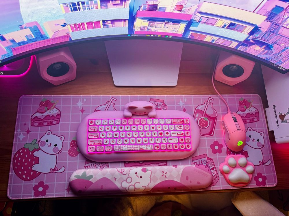 My ultrawide oled monitor is my last big purchase for a while and I’m obsessed. Everything is beautiful on it, and I love the curve.