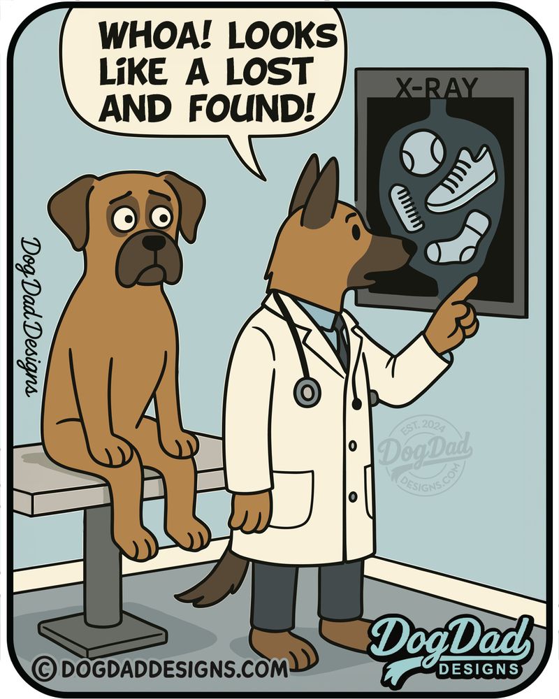 Cartoon illustration of a worried-looking Boxer dog sitting on a veterinary exam table. A German Shepherd vet, dressed in a white coat and stethoscope, points at an X-ray image showing a ball, shoes, and socks inside the Boxer's stomach. The vet says, 'Whoa! Looks like a lost and found!' Artwork by Dog Dad Designs