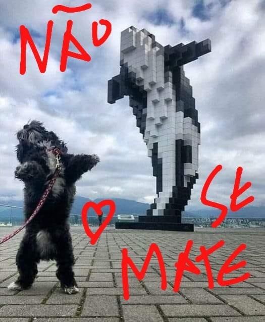 cachorro imitando uma estátua de lego em pé e texto escrito em cima da imagem: "não se mate"