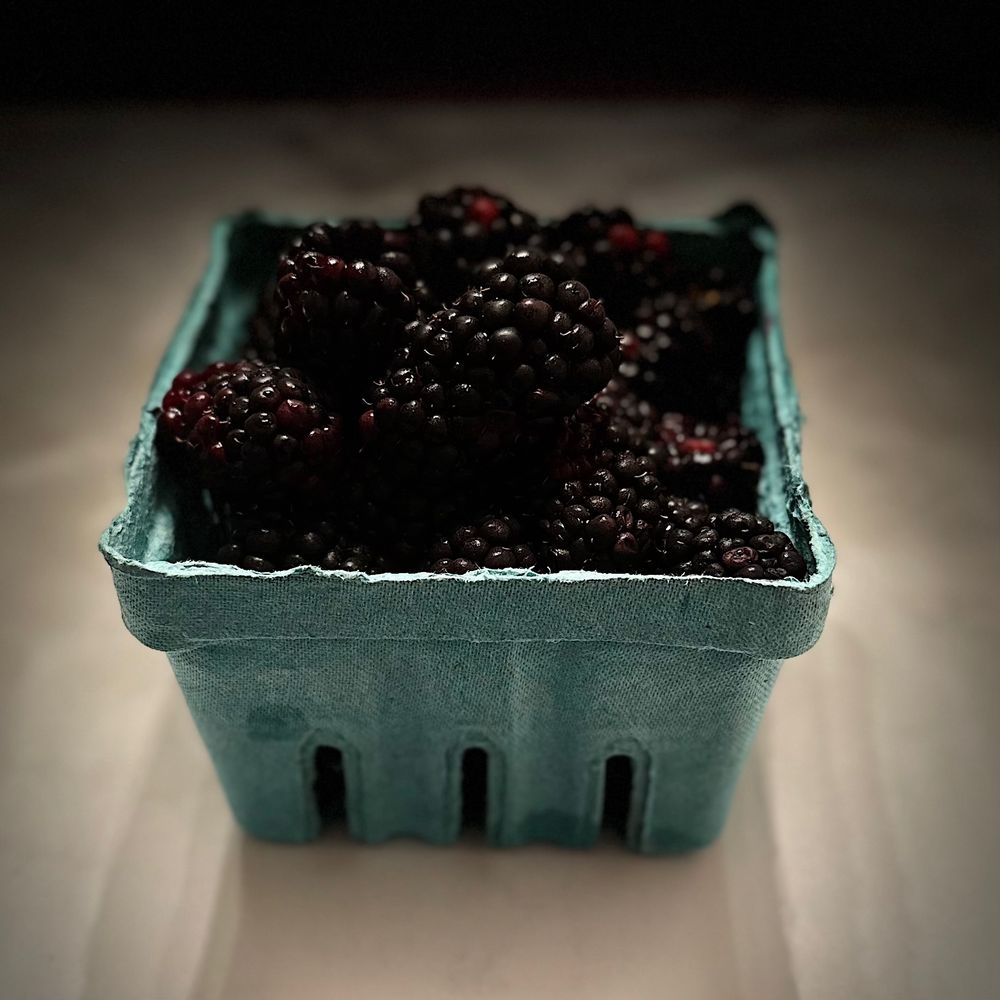 Photo of fresh blackberries in a green pulp paper molded berry box from a farmer’s market. Dramatic ‘stage light’ Portrait Mode iPhone 14 Pro photo by Greg Lloyd

Blackberries 
Herr’s Fruit Farm, Lancaster PA