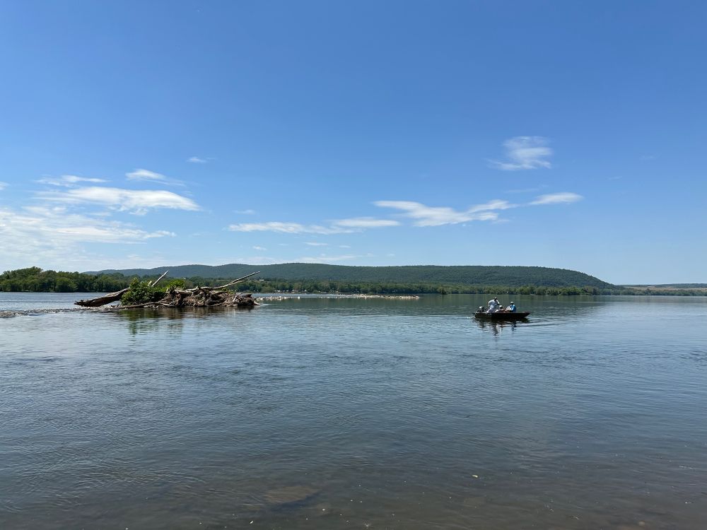 Susquehanna River, Millersburg PA. Photo shows blue sky, a low mountain ridge, and a  tangle of branches in the low water. A man is standing to start an outboard engine of small boat with two passengers.