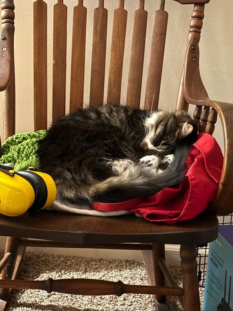 Cat curled up on a pile of clothes on a rocking chair. The cat is straight up zonked dude, like honk shoo mimimimi style