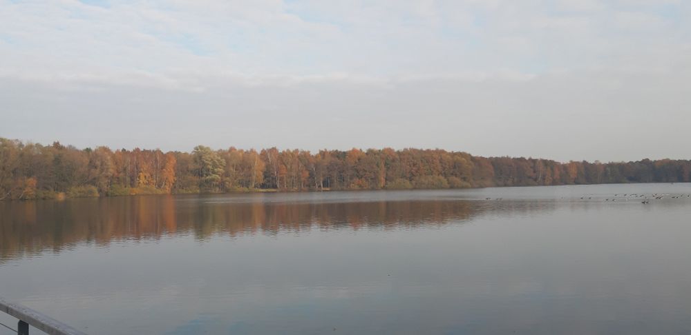 Blick von einem Steg auf den Dreiländersee in Gronau. Im Hintergrund viele Bäume mit buntem Hernstlaub.