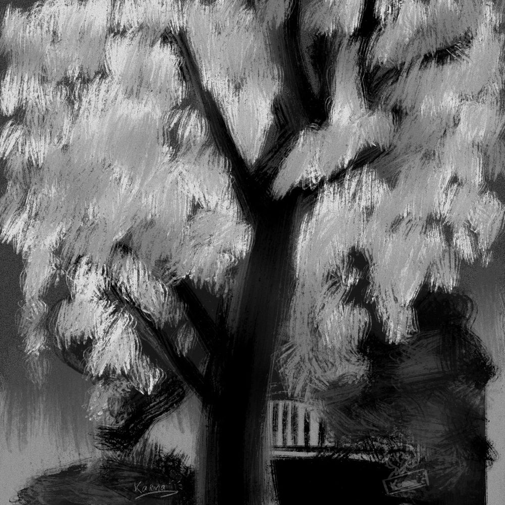 Charcoal-like tree in black in white.