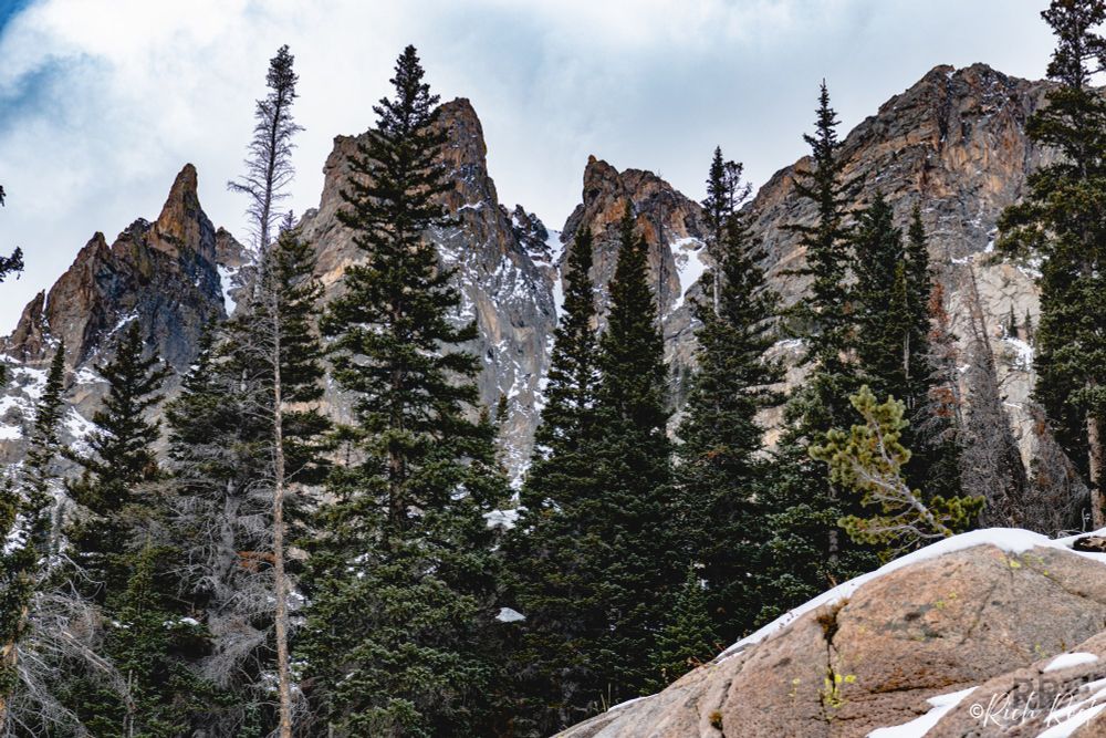 This color landscape photo is of four sharp granite peaks visible from Emerald Lake.  In the foreground is a large tan boulder on the right side of the frame with a thin layer of snow on top and in its various crevasses.  Beyond the boulder is a stand of mighty pine trees that tower into the sky.  There are at least 14 of them and from this low vantage point, many of them tower into the sky seemingly higher than the peaks themselves given perspective of the photo.  Indeed, they offer an interesting symmetry with the peaks themselves with their pointed tops.  Byond the trees are the peaks--four of them jutting into the sky, but each of them also have peaks themselves, as if the entire range had spines or spires.  The csky is cloudy, but a thin layer of blue is somewhat visible throughout but particularly in the top left corner.  The impression it collectively leaves the eye is that of immensity.