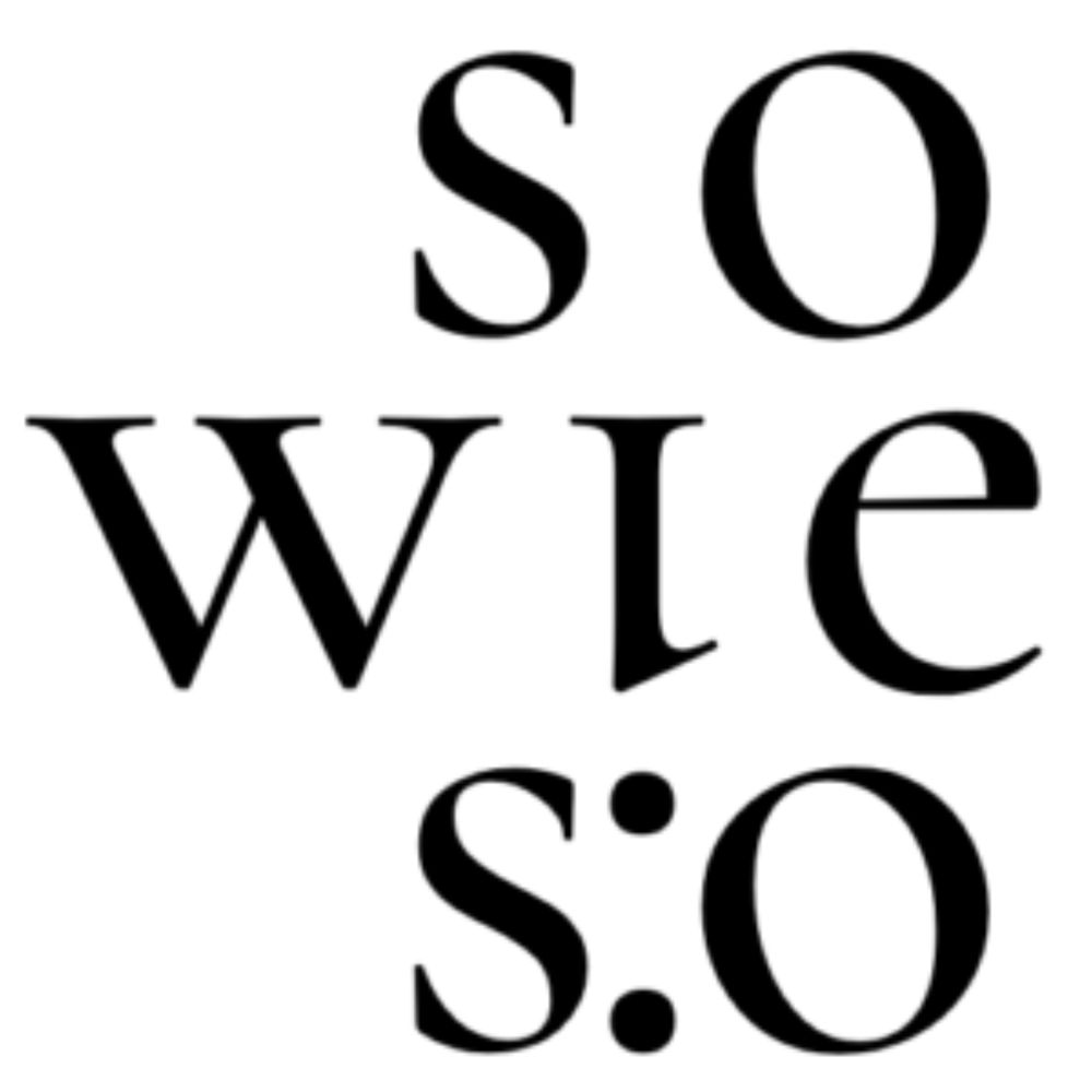 Die Erste Ausgabe des sowieso-Journal ist da! – sowieso-Journal